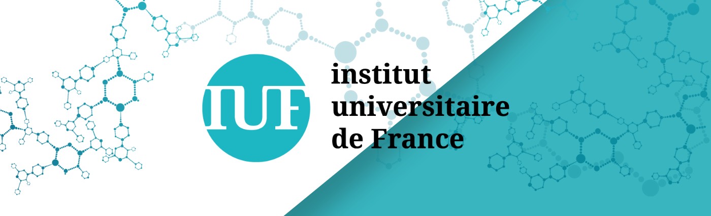 institut_universitaire_de_france_cover