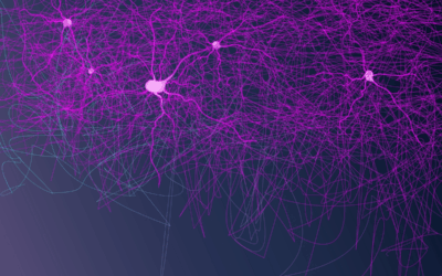 workshop NEQFluids2024: Fluides classiques et quantiques hors équilibre