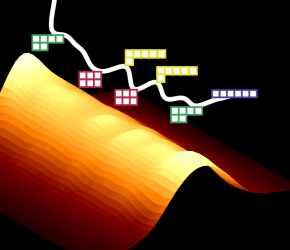 Oscillations de symétrie dans des mélanges de gaz quantiques